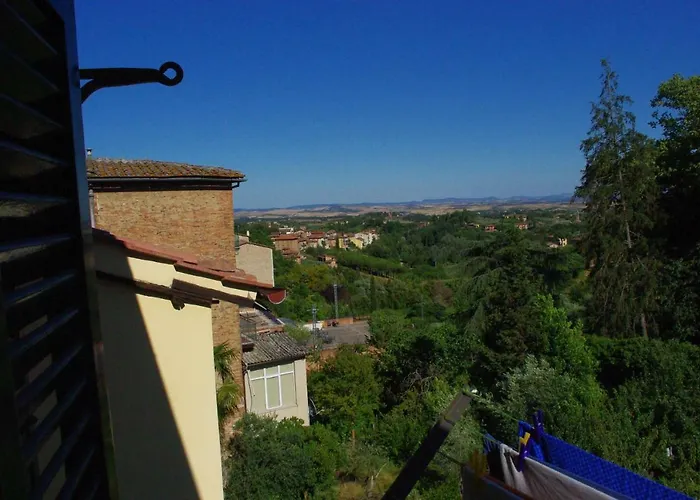 Charming シエーナ