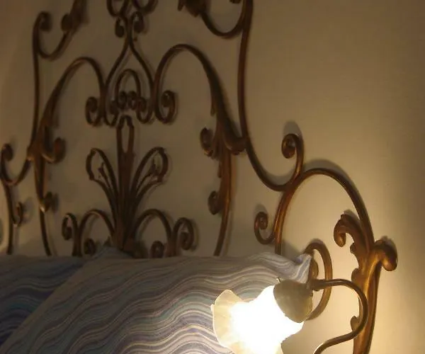 Charming * 시에나